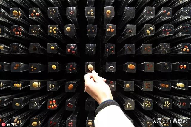 为什么上海这么急着垃圾分类？-12.jpg