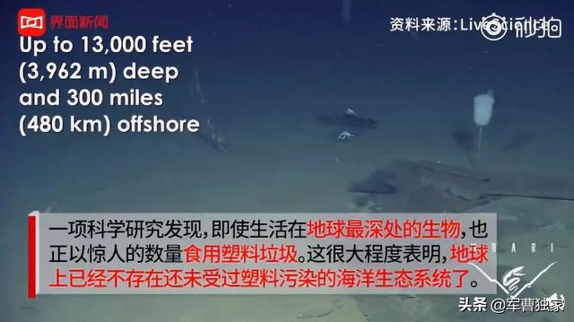 为什么上海这么急着垃圾分类？-19.jpg