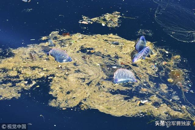 为什么上海这么急着垃圾分类？-21.jpg