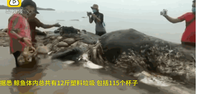 为什么上海这么急着垃圾分类？-35.jpg