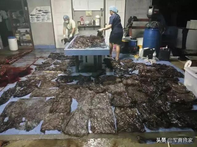 为什么上海这么急着垃圾分类？-34.jpg