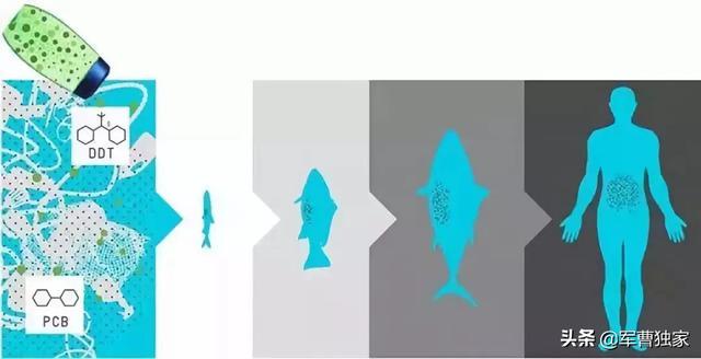 为什么上海这么急着垃圾分类？-47.jpg