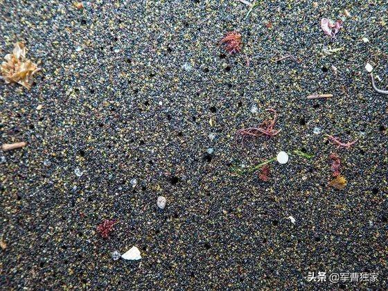 为什么上海这么急着垃圾分类？-46.jpg