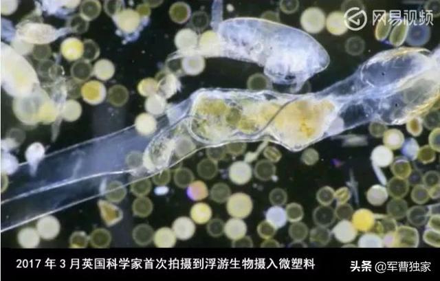 为什么上海这么急着垃圾分类？-48.jpg
