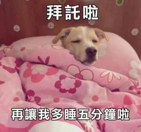微信图片_20190712110149.jpg