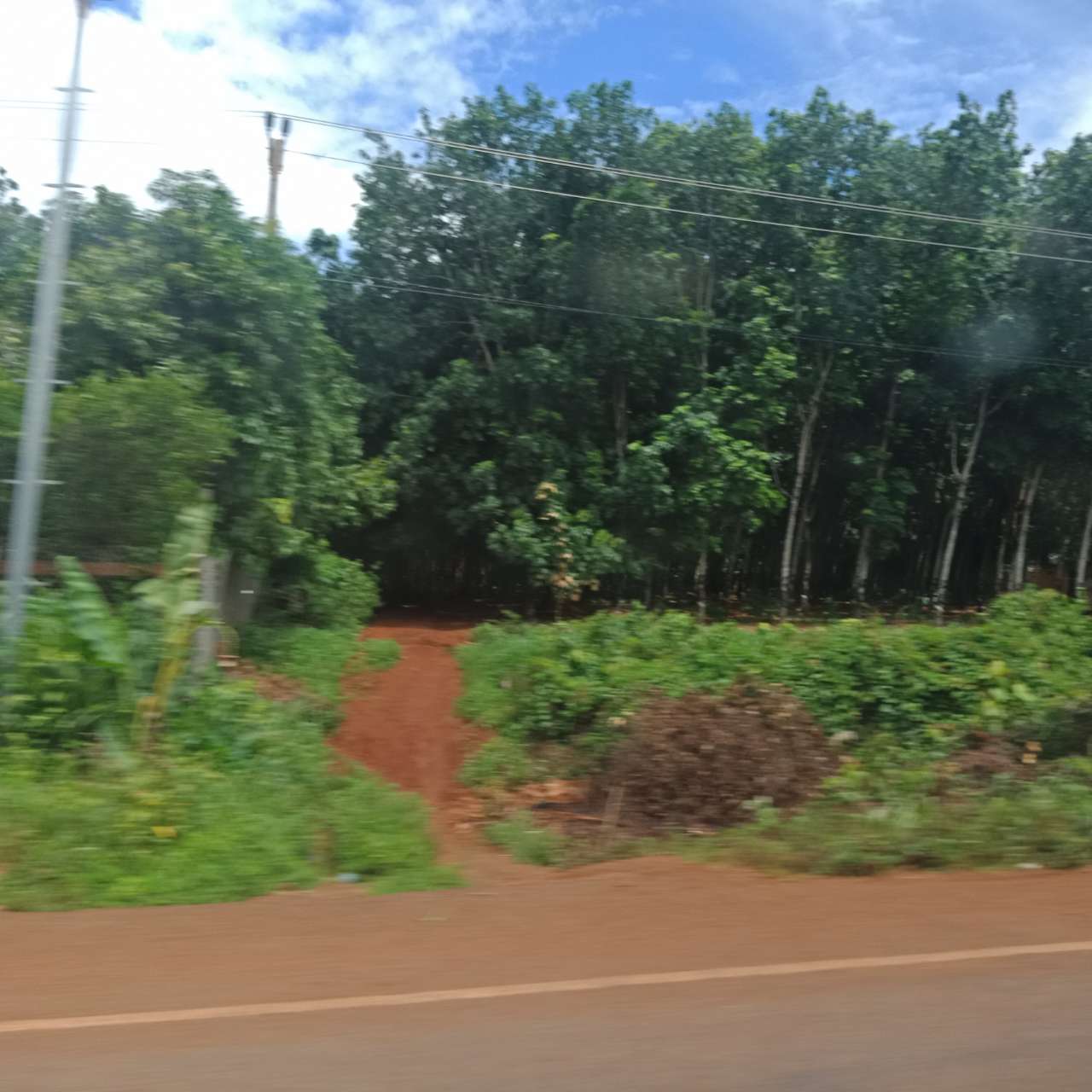 20190714_81149_1563060654305.jpg