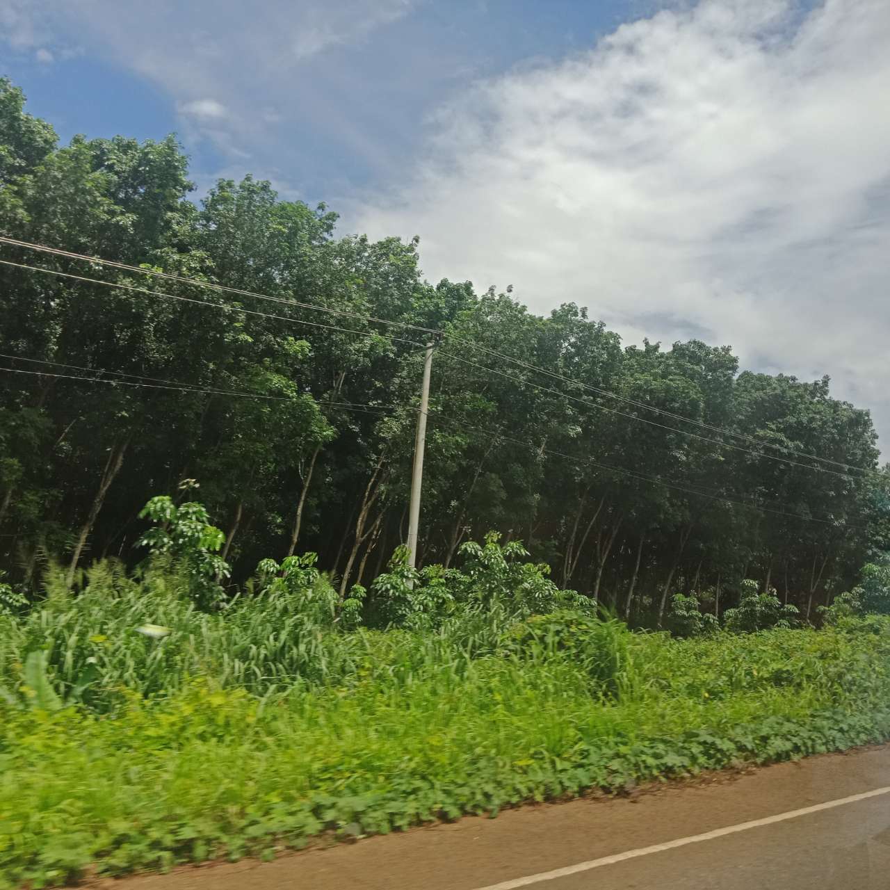 20190714_81149_1563060655298.jpg