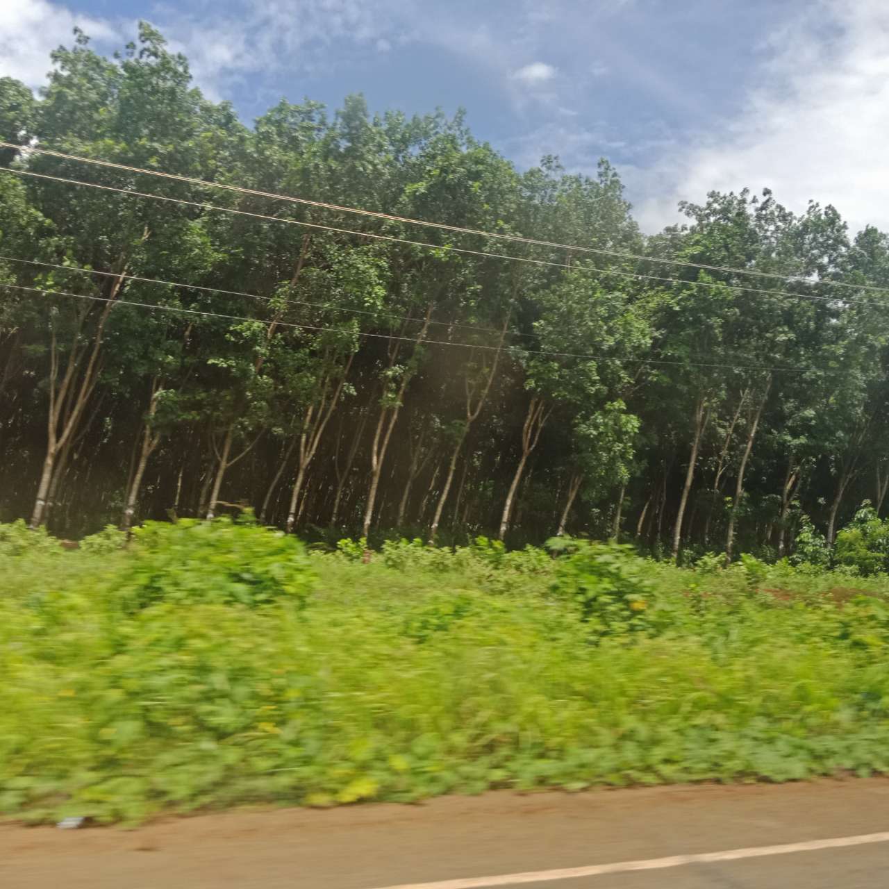 20190714_81149_1563060655821.jpg
