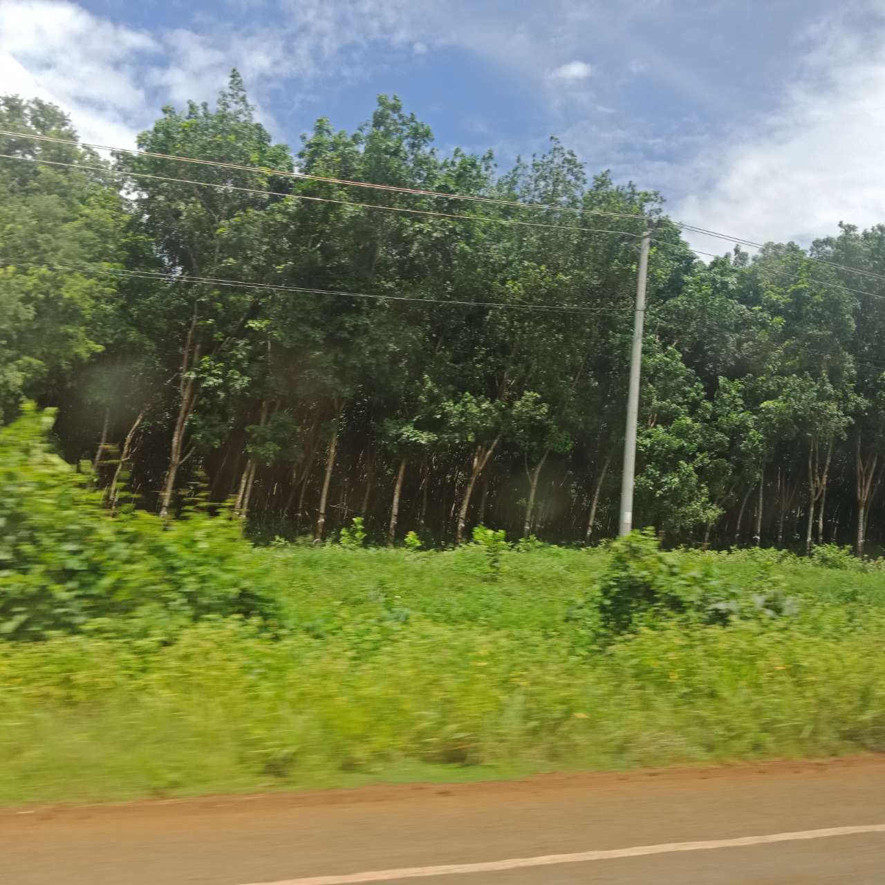 20190714_81149_1563060656330.jpg