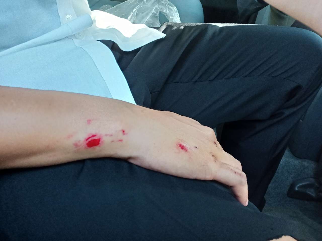 20190715_101466_1563154911661.jpg