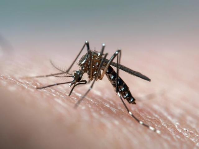 去了趟柬埔寨谈生意，一家5人得了登革热-2.jpg