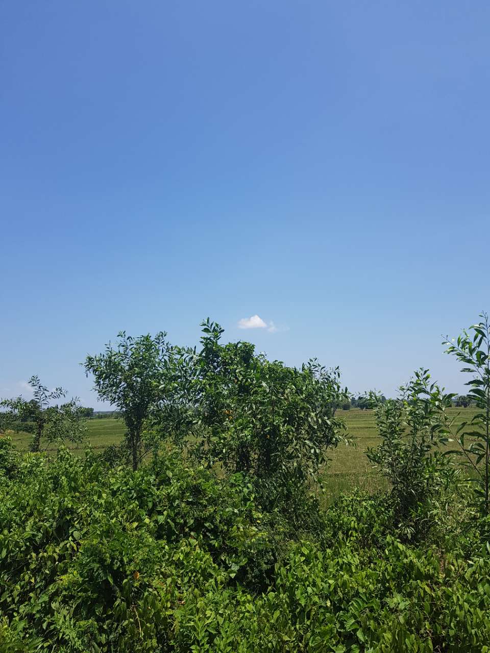 20190716_86936_1563289933957.jpg
