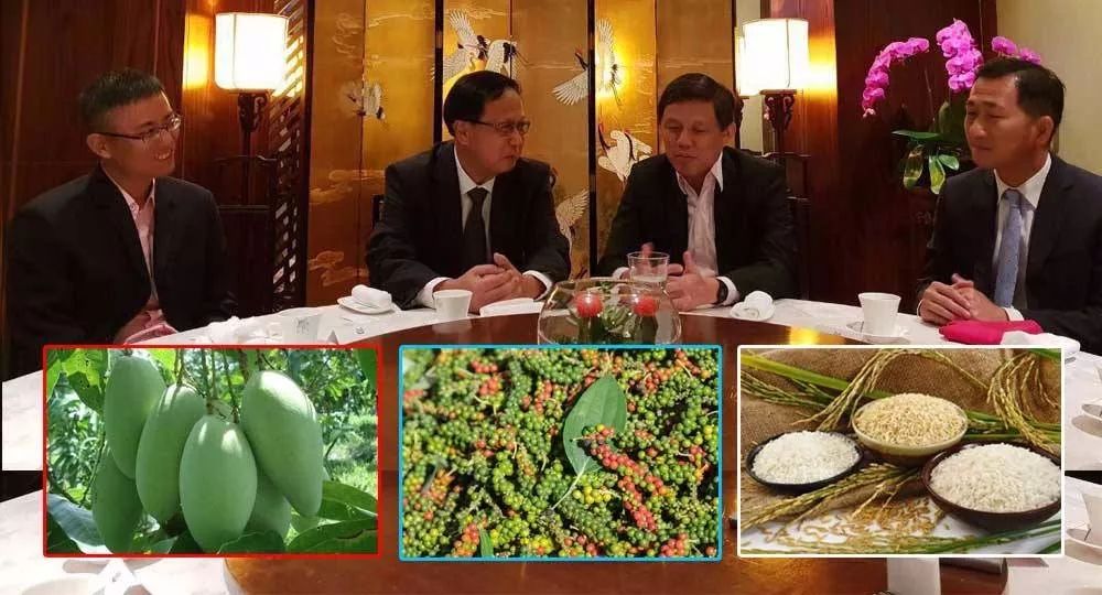 新加坡公司青睐柬芒果、贡不胡椒和大米-1.jpg
