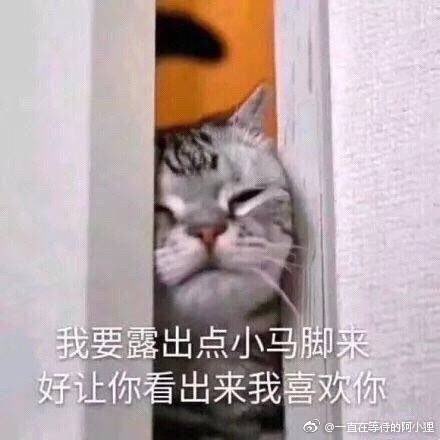 201907191043611563518262457906.jpg