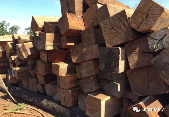 羡慕邻国木材出口创汇，柬宪兵司令呼吁提高林业经济-2.jpg