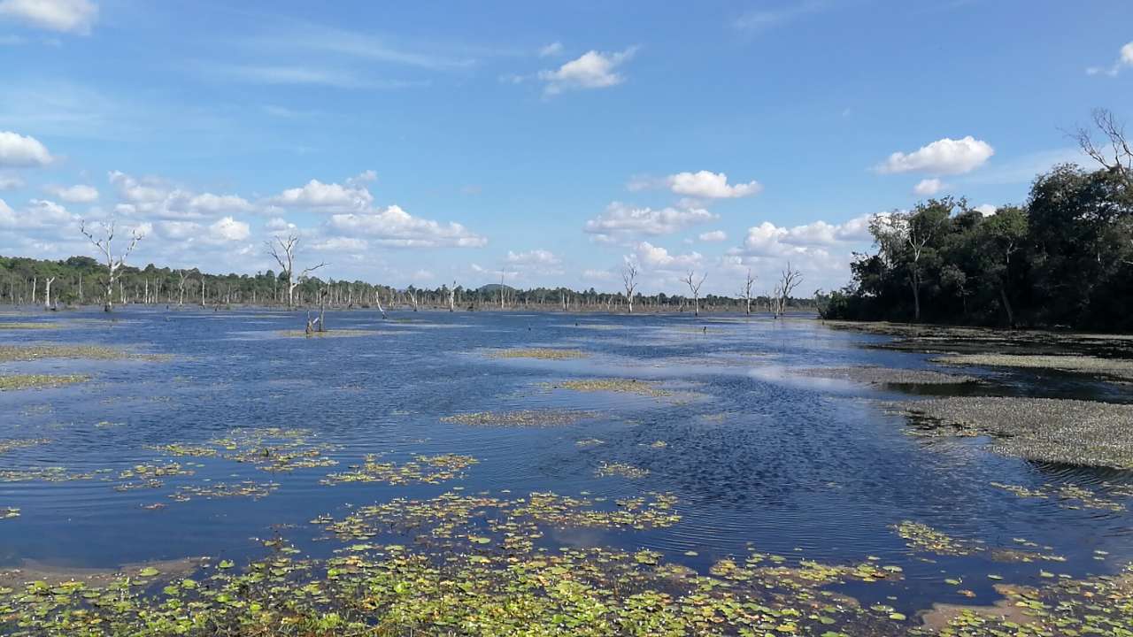 20190720_134045_1563625114237.jpg