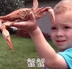 201907211339591563701305904281.jpg