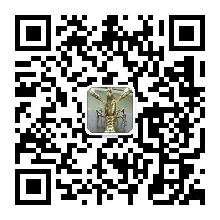 20190722_124489_1563773161664.jpg