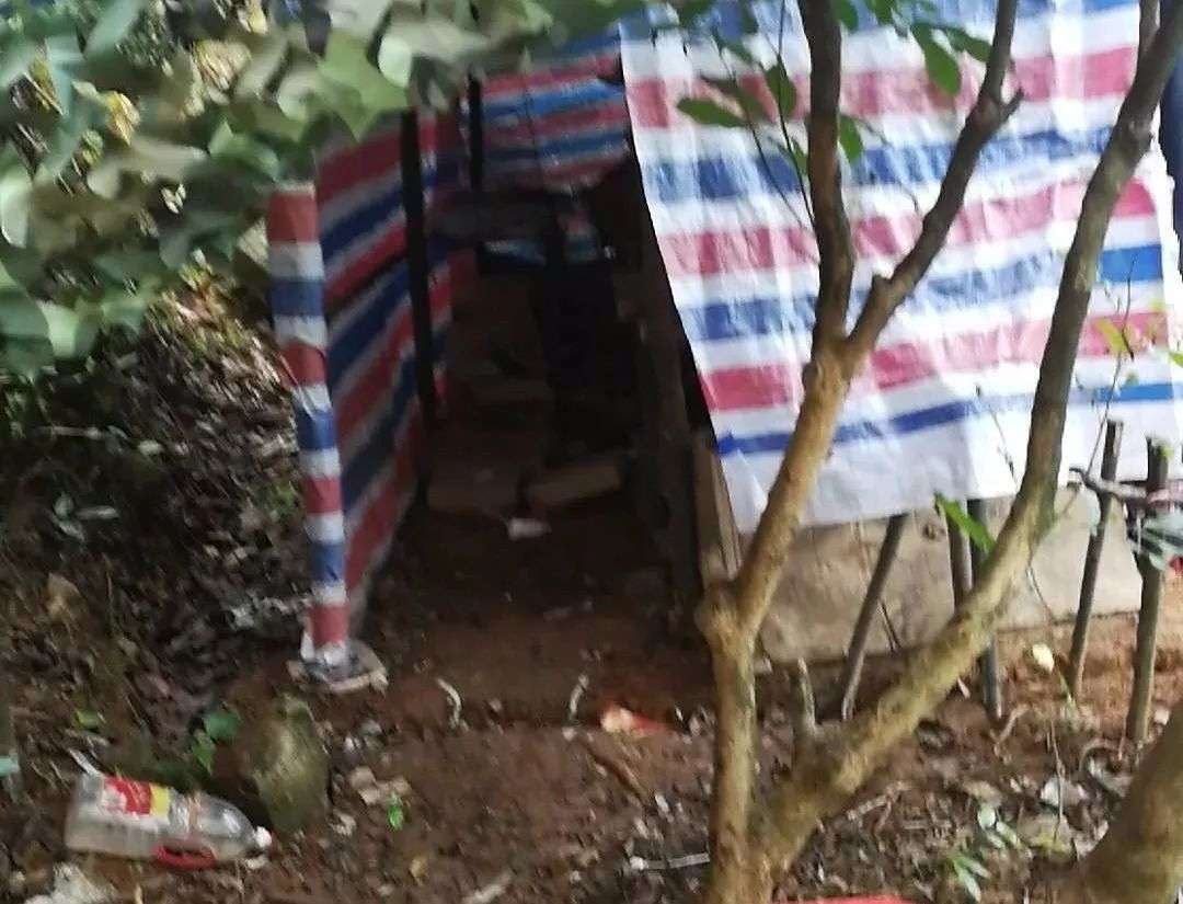 你永远不知道，为了榨干你的钱，骗子有多努力！-1.jpg
