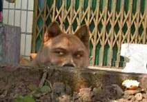20190726_85851_1564121194071.png