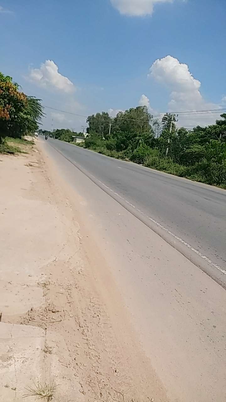 20190726_130900_1564125679117.jpg