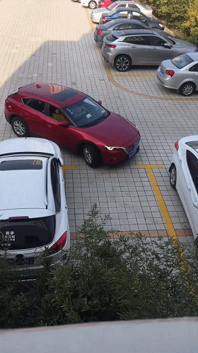 20190726_85851_1564134674944.gif