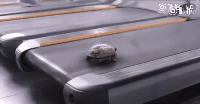 20190726_85851_1564136254123.gif