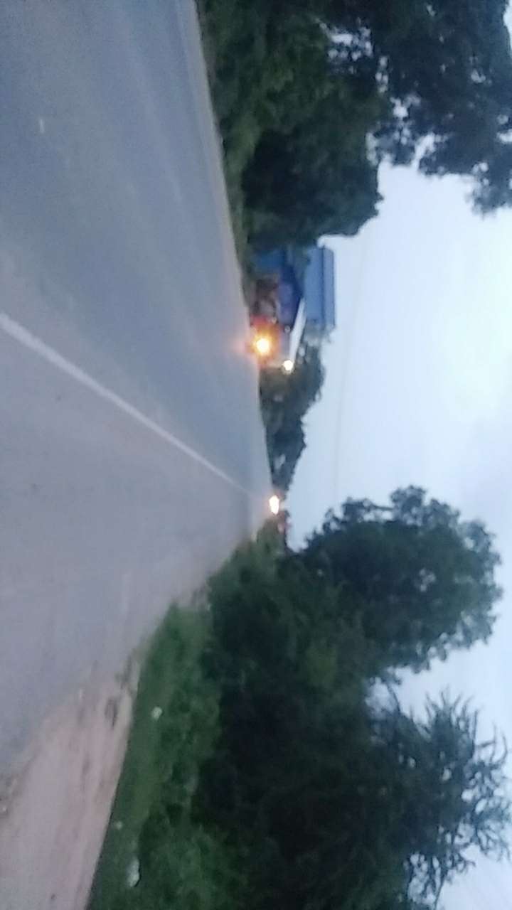 20190726_130900_1564140834175.jpg