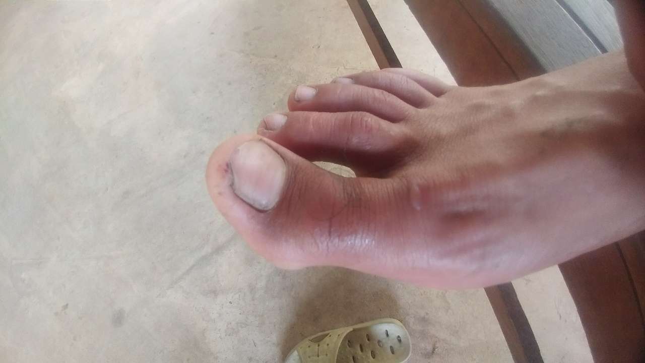 20190727_130900_1564191914696.jpg