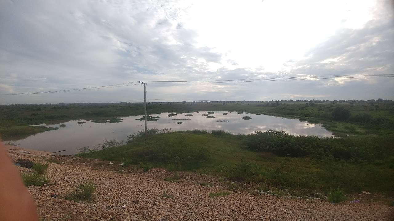 20190727_130900_1564204492998.jpg