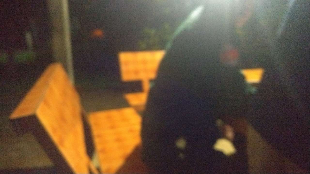 20190727_130900_1564240598009.jpg