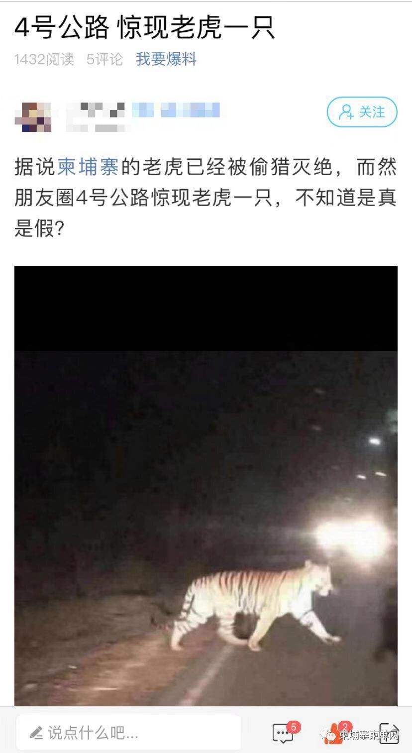 西港昨晚惊现老虎？假的！-6.jpg