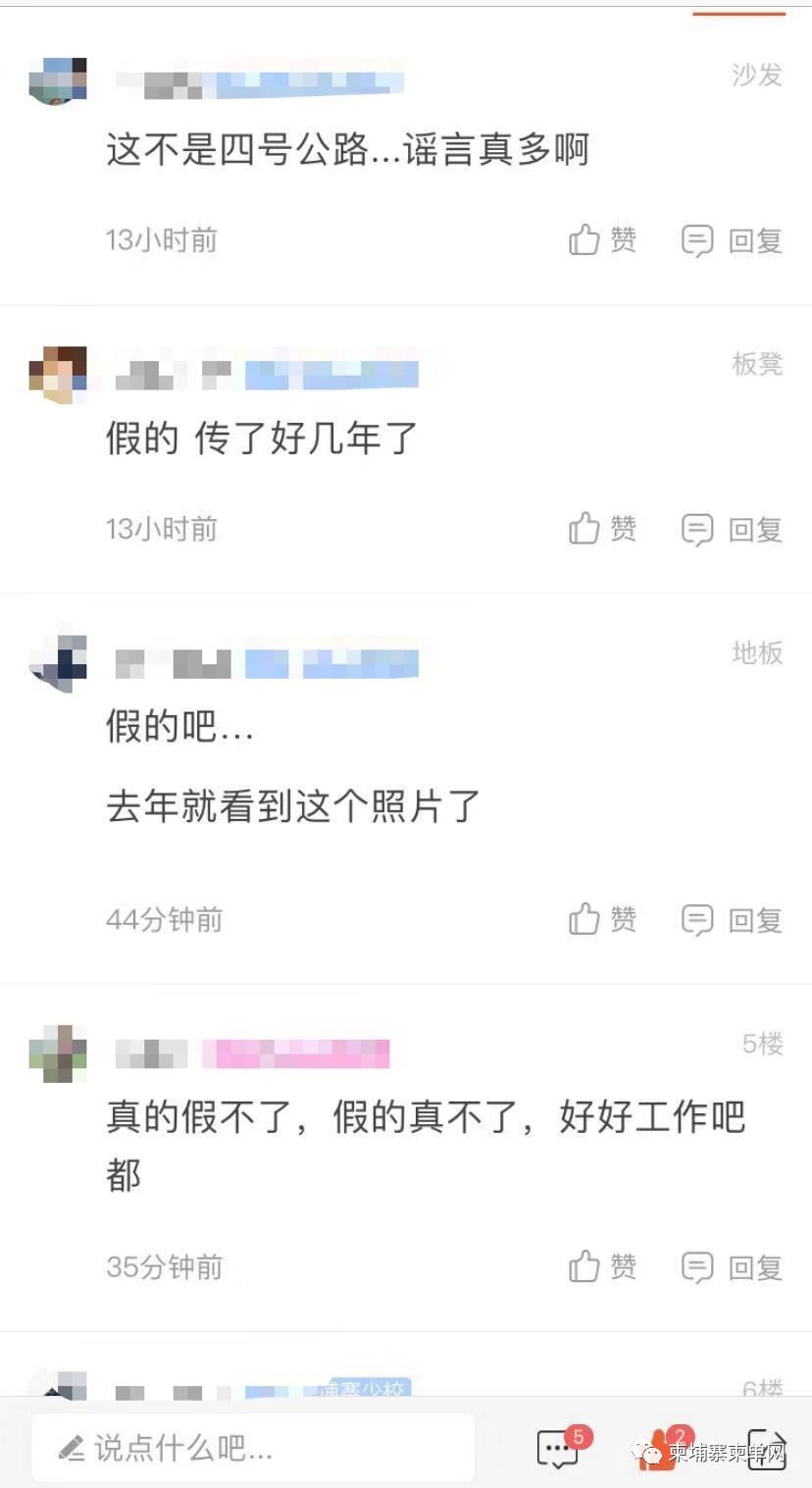 西港昨晚惊现老虎？假的！-7.jpg