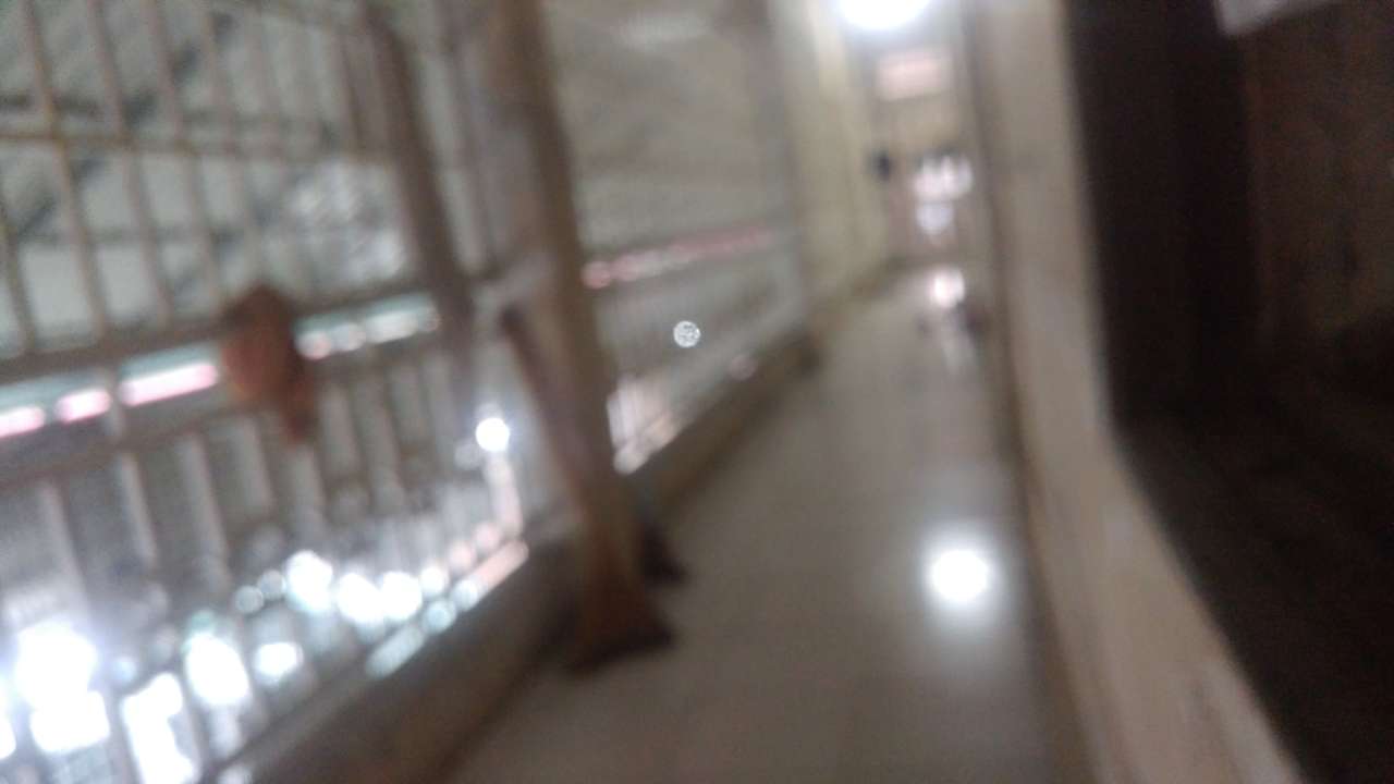 20190729_130900_1564396713138.jpg
