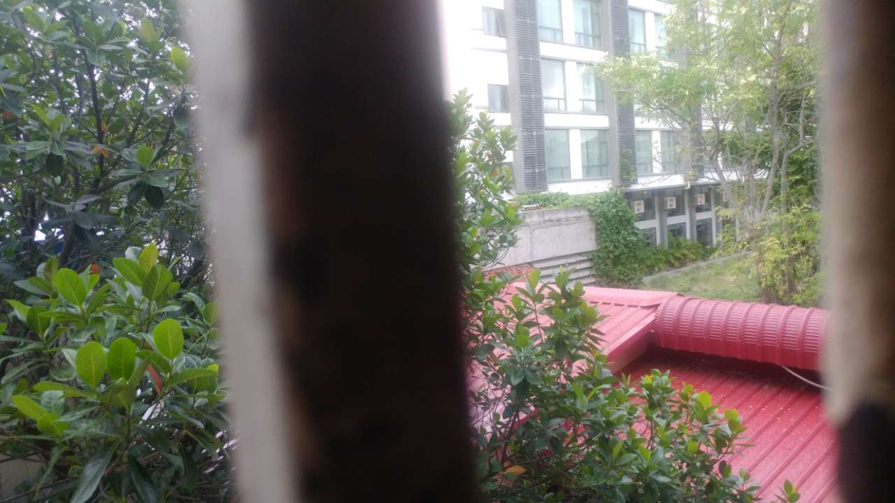 20190729_130900_1564396713458.jpg