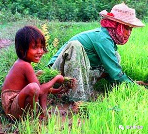 柬埔寨普通老百姓的真实生活，看到另一面的柬埔寨-15.jpg