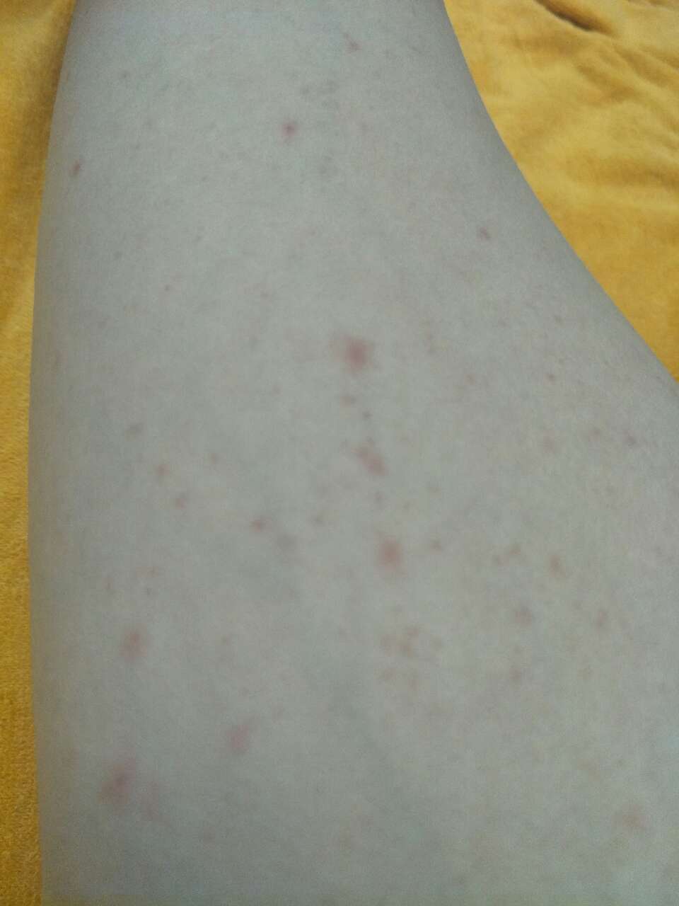 20190731_116170_1564545766385.jpg
