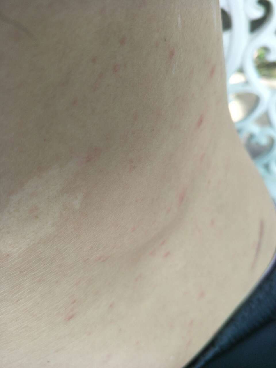 20190731_116170_1564545766798.jpg