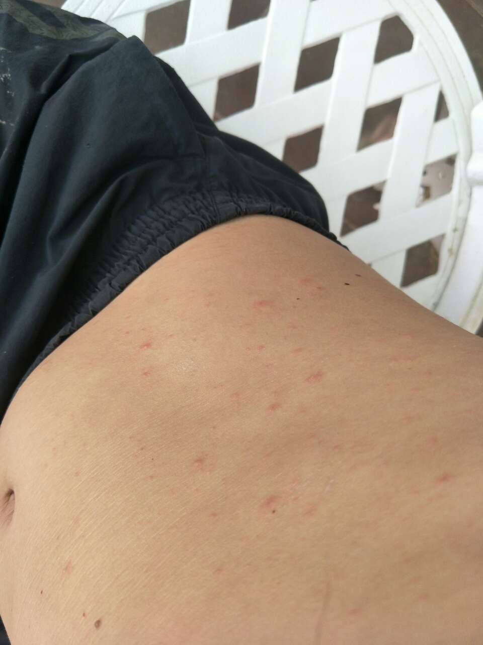 20190731_116170_1564545767155.jpg