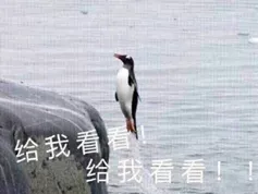 20190801_85851_1564653256591.png