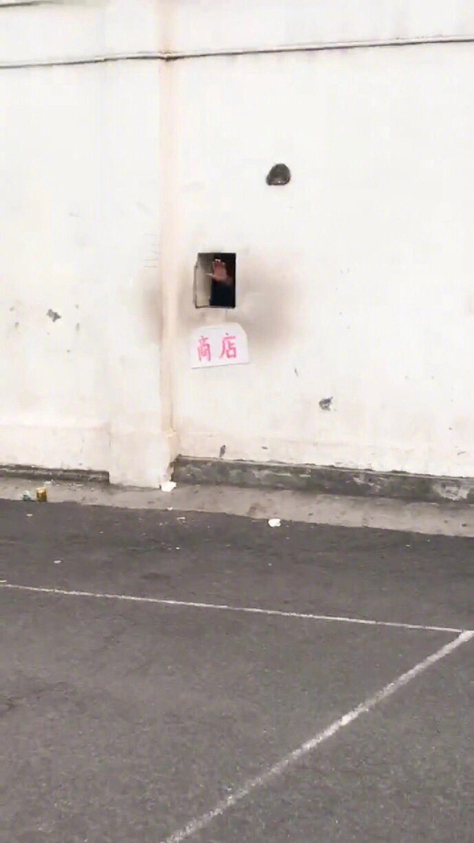 201908031398221564828940219595.jpg