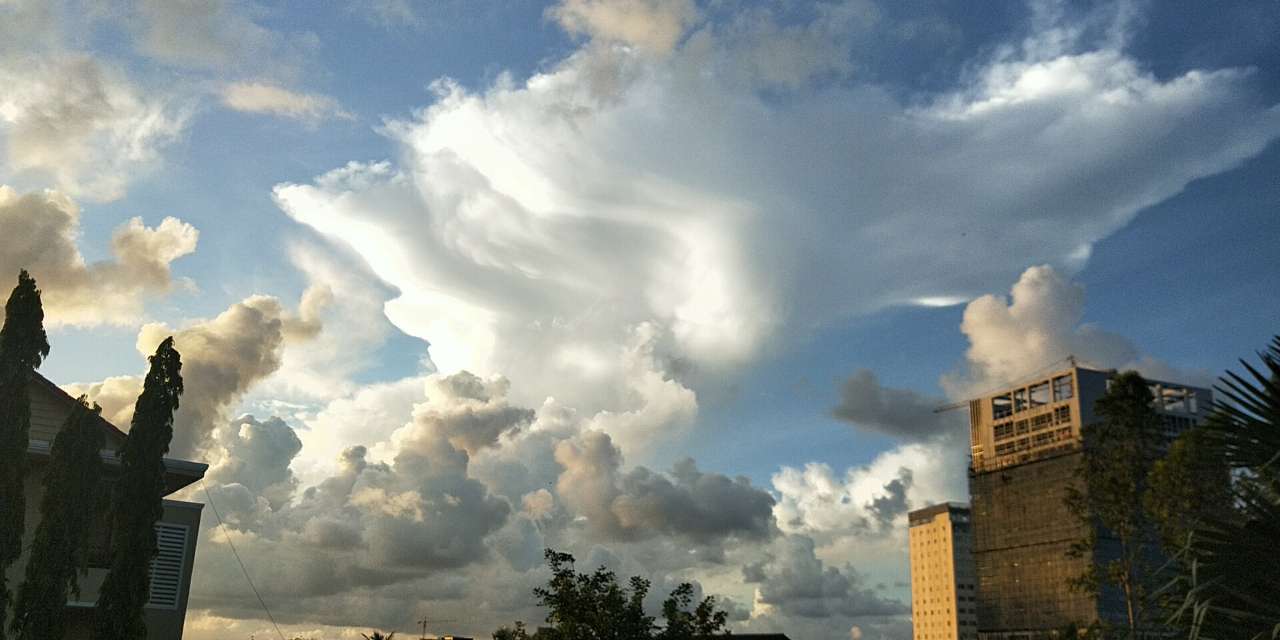 20190804_114517_1564880309634.jpg
