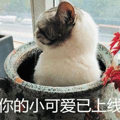 中国单身成年人口超2亿，你的对象在路上了吗？90后单身原因竟是...-1.jpg