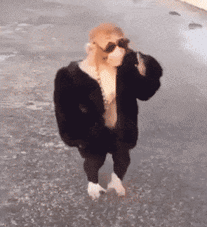 对不起！这不是你以为的柬埔寨！-3.gif