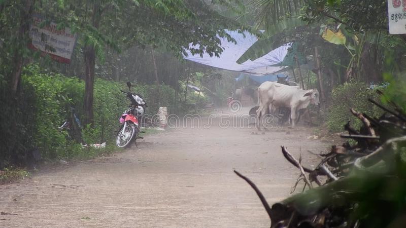 下雨，柬埔寨，东南亚-41937857.jpg