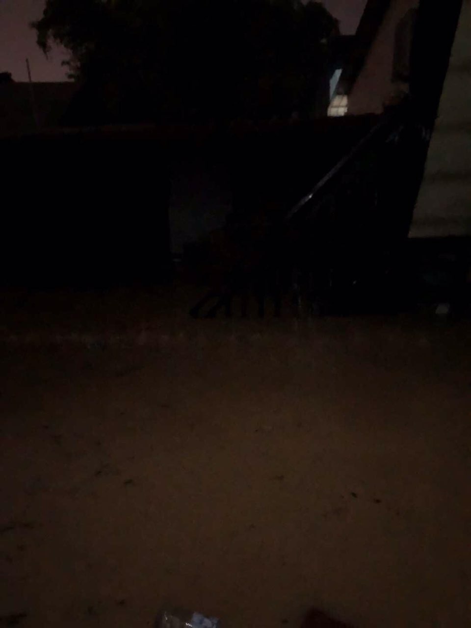 201908091196531565339691672686.jpg