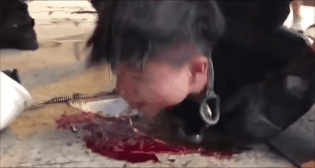 20190813_89655_1565665845602.gif