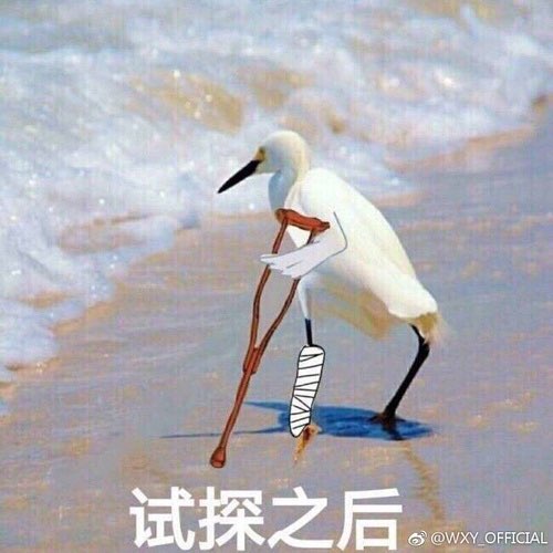 20190814855011565749886708556.jpg