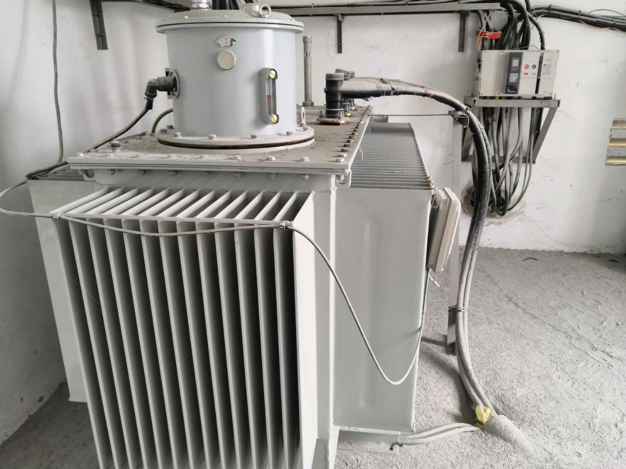 20190816_117439_1565961868731.jpg
