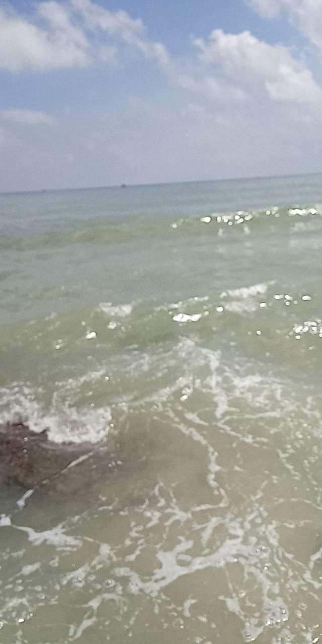 20190819_114038_1566195944352.jpg